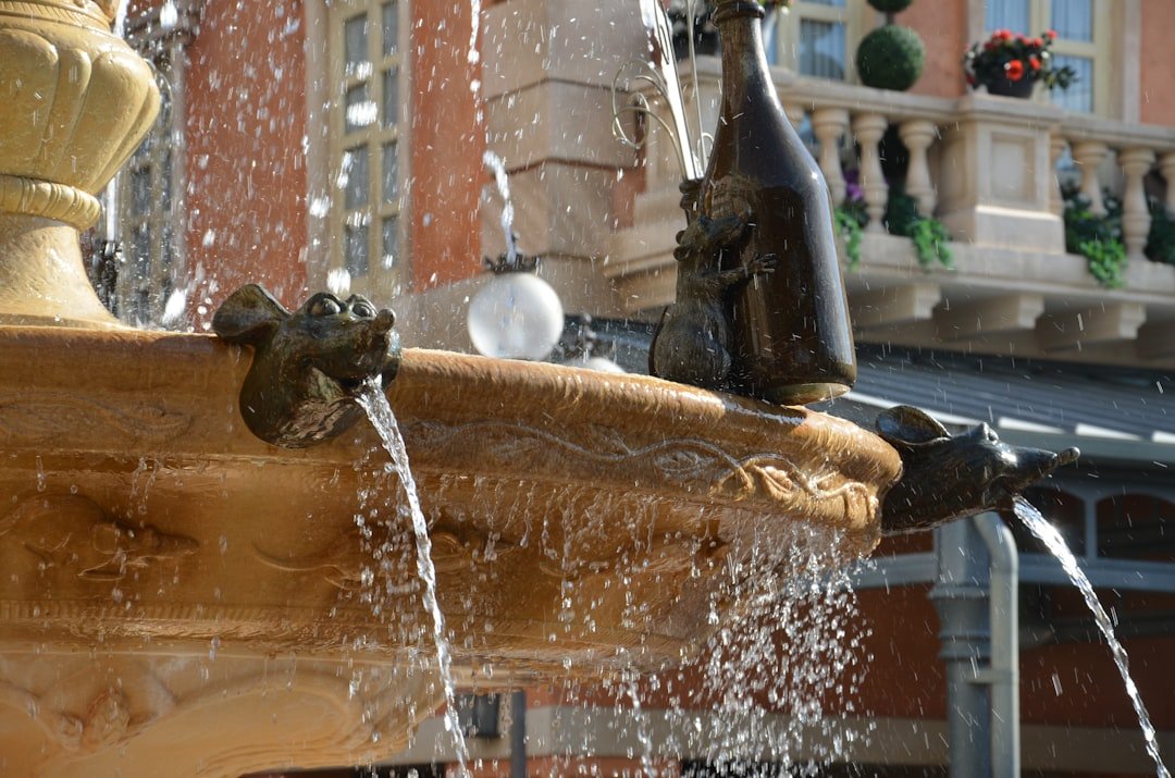 How to Fix Drinking Fountain Fast by Using Simple Repair Tips - American Mortuary Coolers & Equipments How to Fix Drinking Fountain Fast by Using Simple Repair Tips - American Mortuary Coolers & Equipments